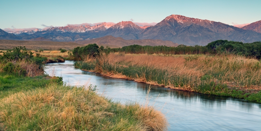 Owens River in Owens Valley at sunrise, Eastern Sierra, Bishop, Kalifornien, USA
