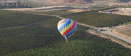 Hot Air Balloon over fields
