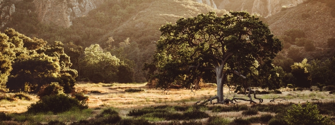 Malibu Creek Park in California is hidden in the Santa Monica Mountains just north of Los Angeles by Pacific Coast Highway. Great for outdoor adventures, hikes, wildlife, and waterfalls. Sunsets.