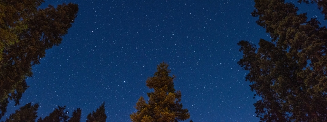 DORST CREEK CAMPGROUND SEQUOIA NATIONAL PARK