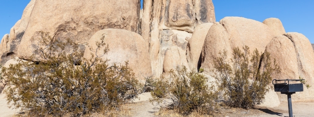 Jumbo Rocks Campground, USA