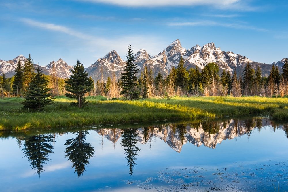 Experience Yellowstone & Grand Teton National Park In A Campervan