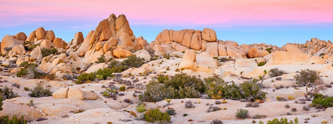 Joshua Tree National Park, Mojave Desert, California