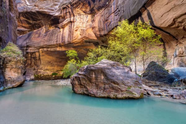 Narrows in Zion National Park