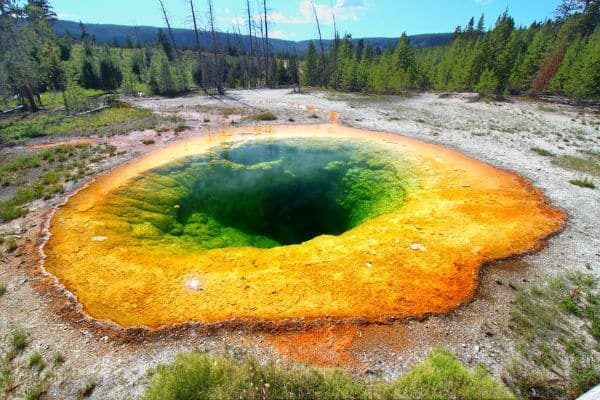 morning glory pool in yellowstone national park