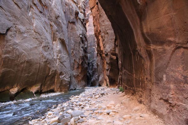 the Narrows in Zion National Park