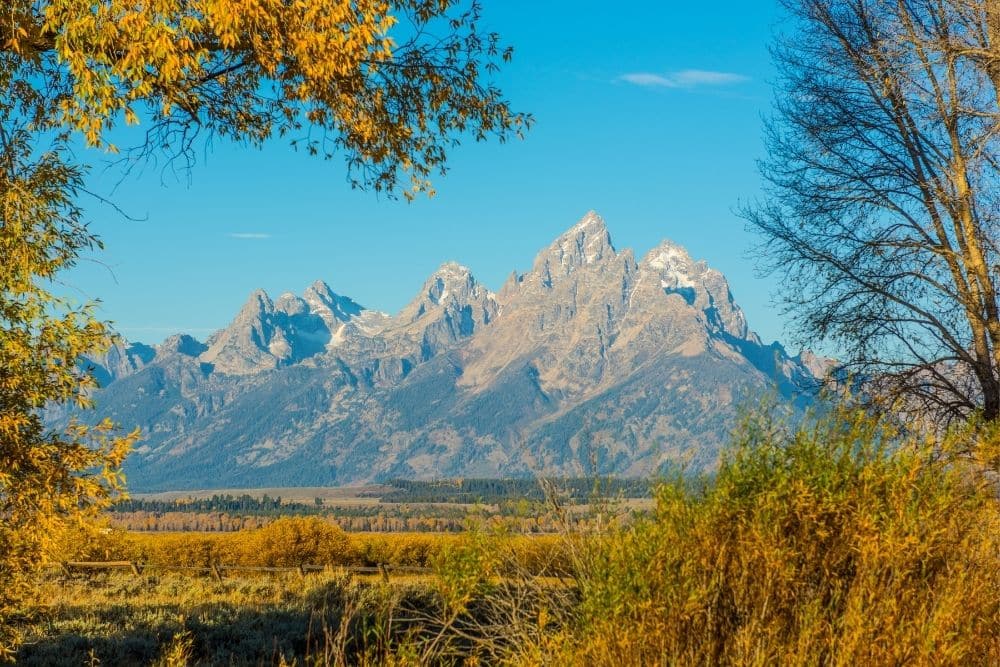 Experience Yellowstone & Grand Teton National Park In A Campervan