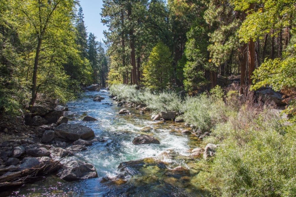 The Explorers Essential Guide to Sequoia & Kings Canyon National Parks