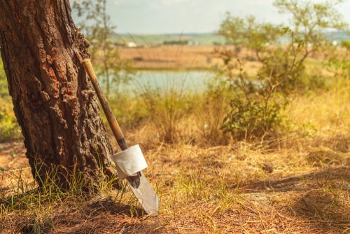 toilet paper and shovel in the woods