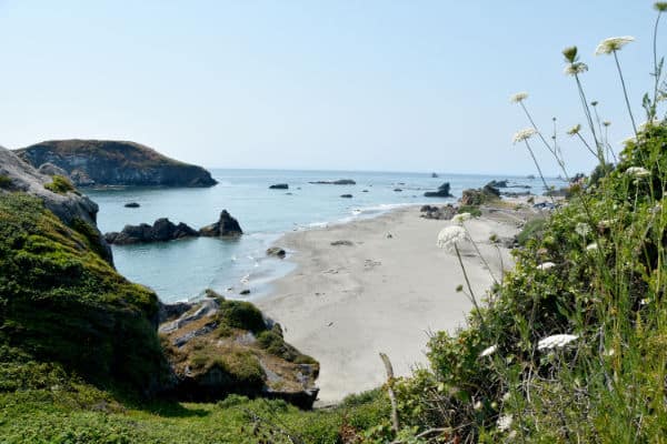 Harris Beach State Park