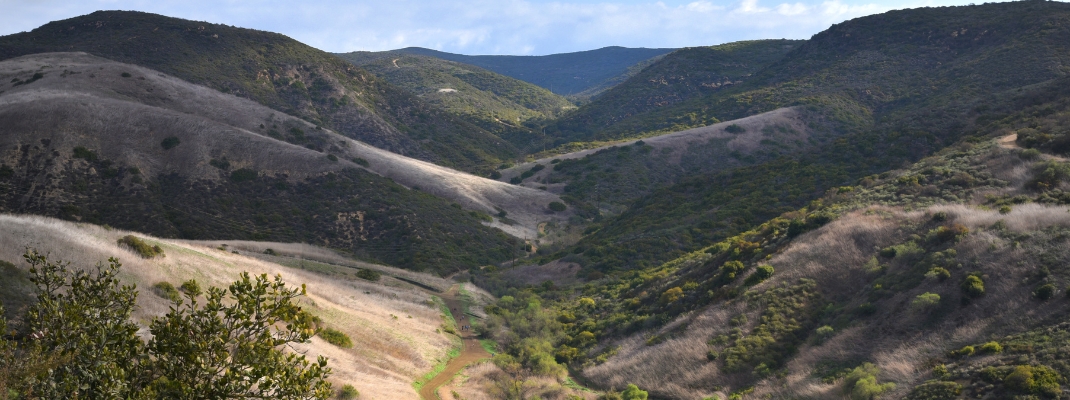 Crystal Cove State Park, California
