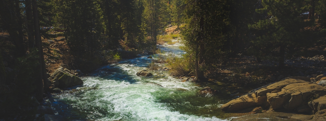 Beautiful Marble Fork Kaweah River flowing through the dense forest along the Tokopah Valley Trail
