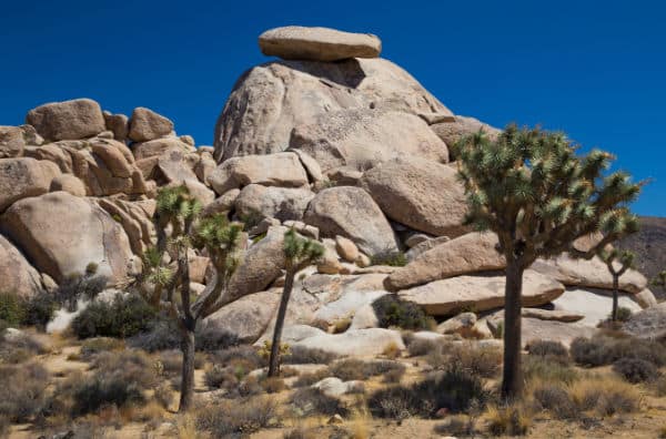 Cap rock in Joshua Tree