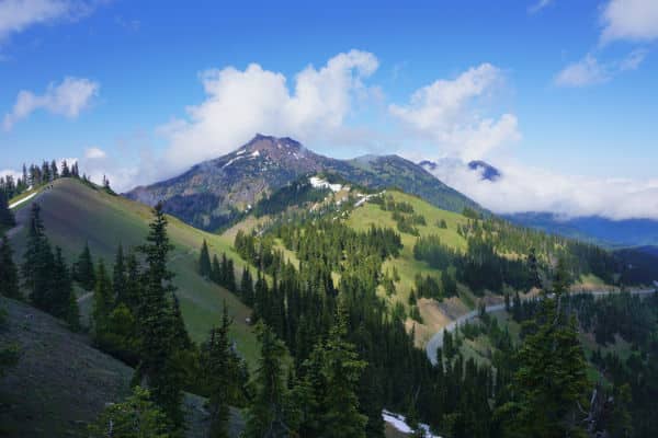 Hurricane Ridge in Olympic National Park