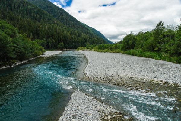 Quinault River