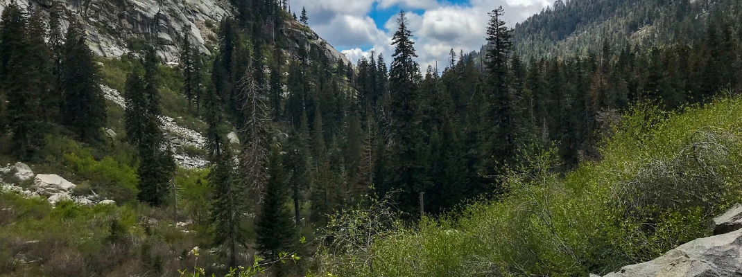 Sequoia National Park, Takopah Waterfall trail. 