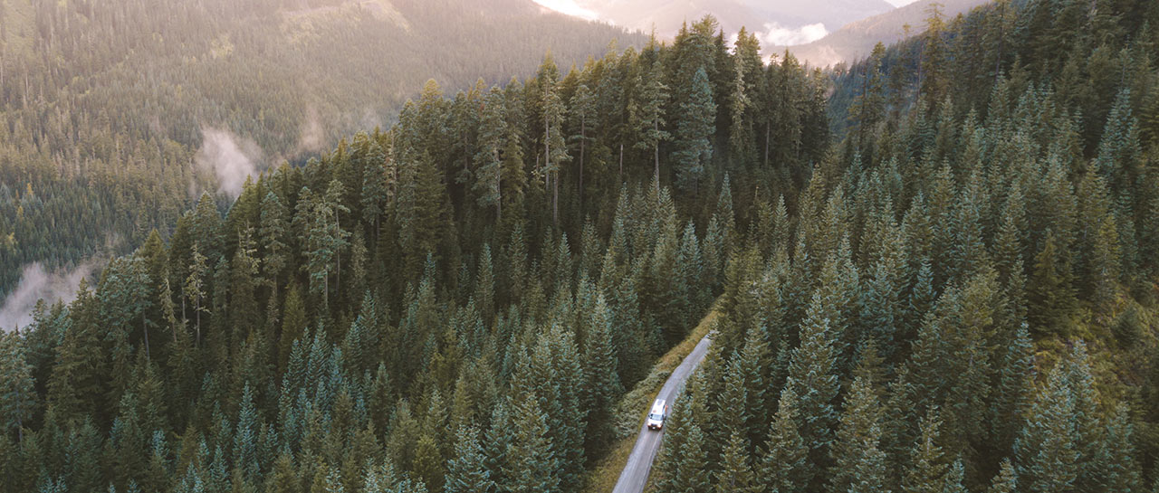 WANT TO CAMP FOR FREE?