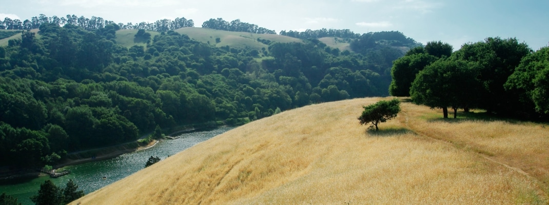 Anthony Chabot Regional Park