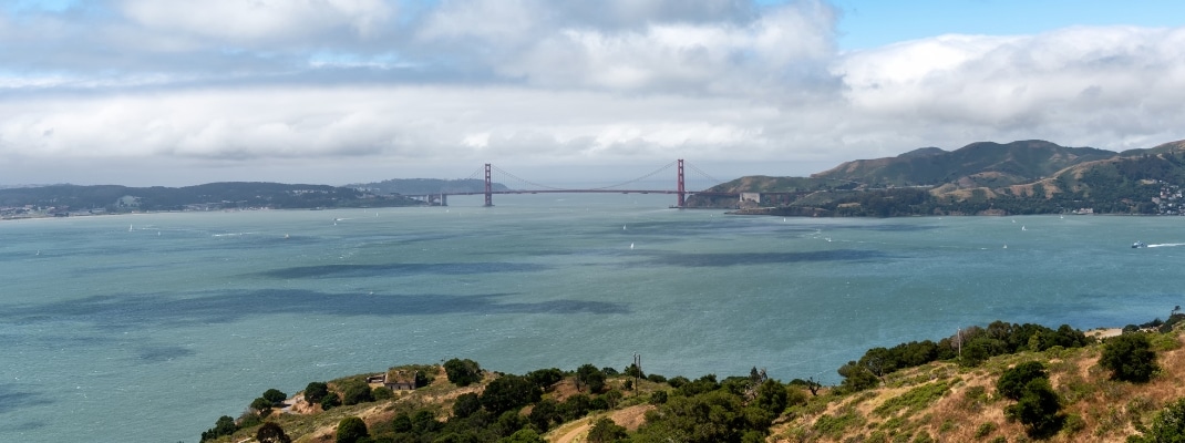 Trail scene to Mt. Livermore on Angel Island in San Francisco Bay
