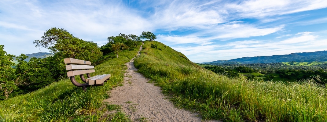 Mount Diablo State Park in California
