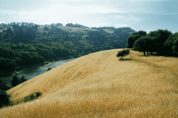 Anthony Chabot Regional Park