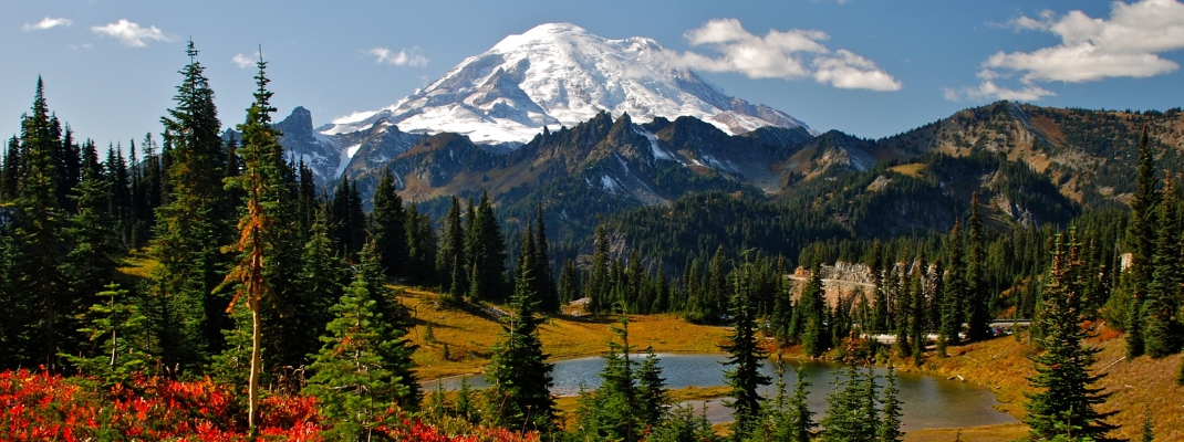 Autumn colors in Mt. Rainier National Park
