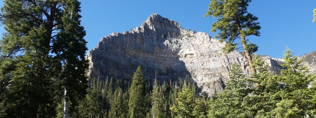 Mt Charleston Nevada
