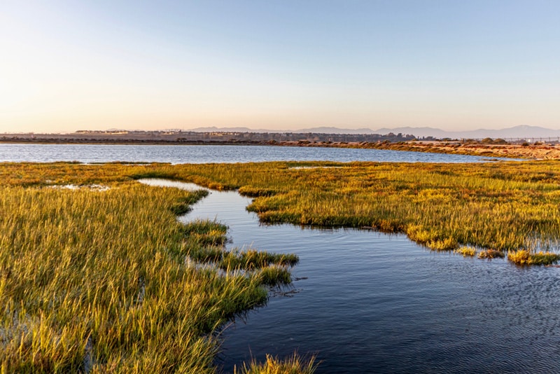 Bolsa Chica Reserve California - Fishing Road Trip