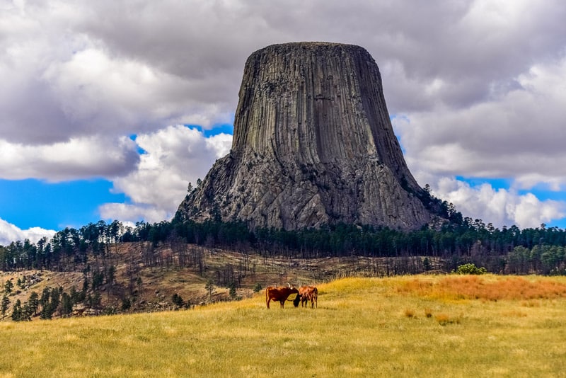 Devils Tower Rock Climbing Destination