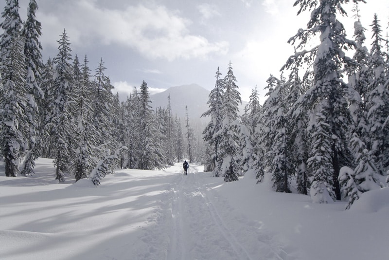 Skiier on snowy mountain at Mount Bachelor, Oregon