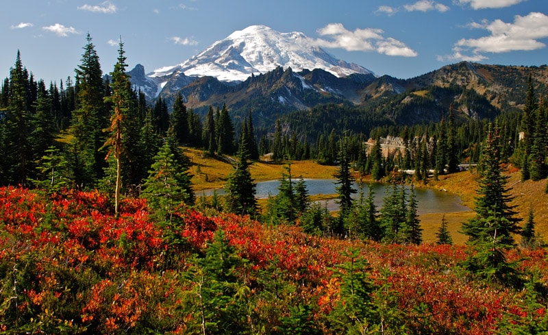 Mount Rainier National Park - Best hiking destinations for a campervan road trip in the united states