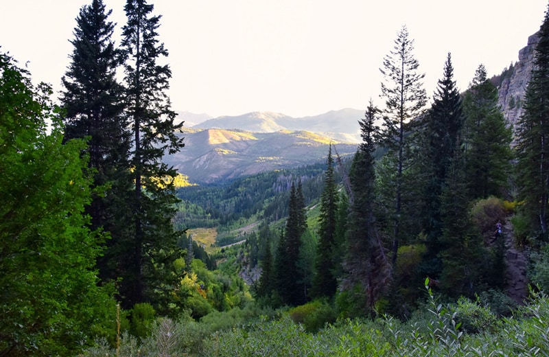 Alpine Loop Scenic Byway Campervan Road Trip Destinations in Fall