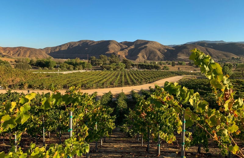 Temecula Wine Region California Campervan Road Trip Destinations in Fall