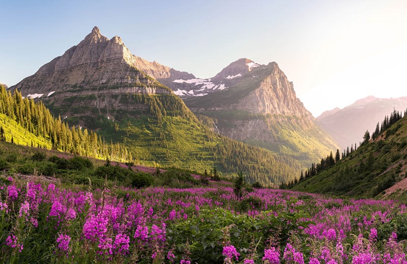 Glacier National Park Summer Campervan Road Trip Destinations in the USA