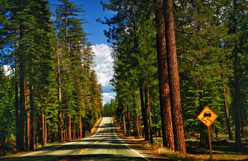 Redwood State Park Washington, Campervan Road Trip Destinations in Fall