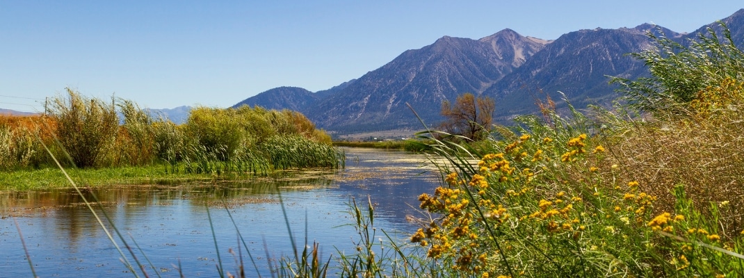 From a bend in the West Fork Carson River near Genoa, Nevada, looking towards the Pine Nut Mountains. 