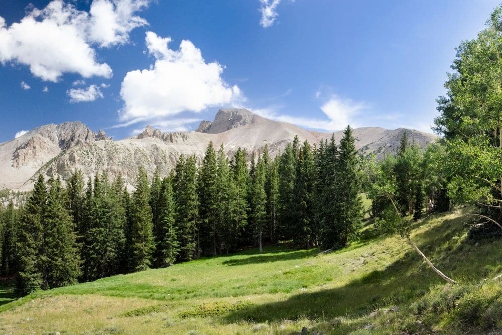 5 Campgrounds in Great Basin National Park Worth Visiting