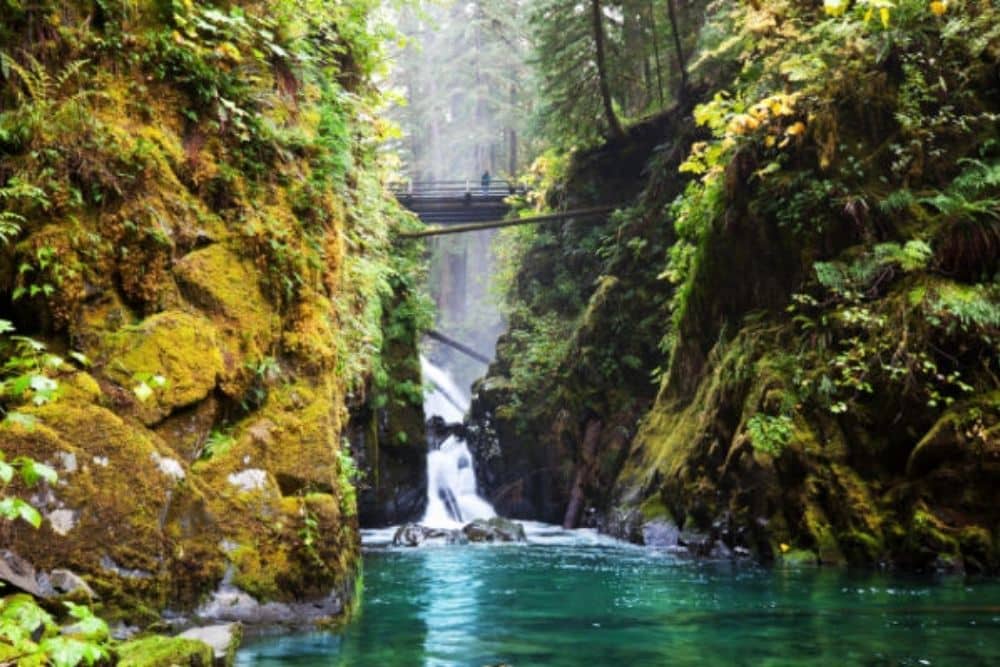 8 Olympic National Park Campgrounds & RV Parks You Must Visit