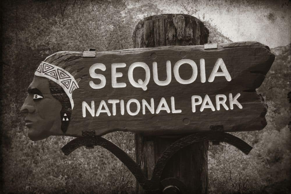 Top 11 Sequoia & Kings National Park Campgrounds & RV Parks