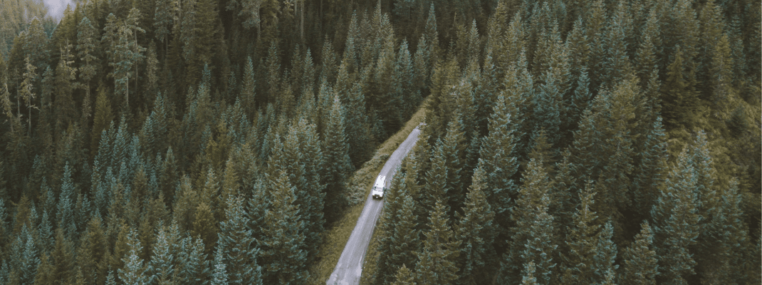 Campervan in forest
