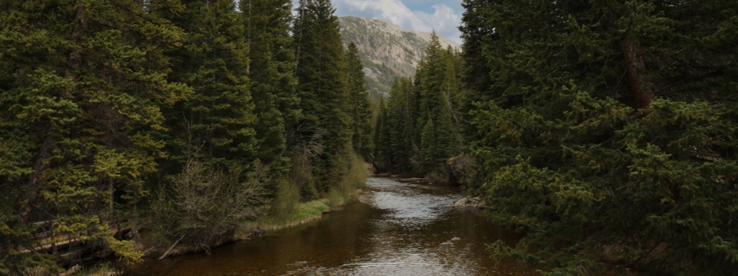 Roaring Fork River flowing through a forest in the mountains at The Grottos in Aspen
