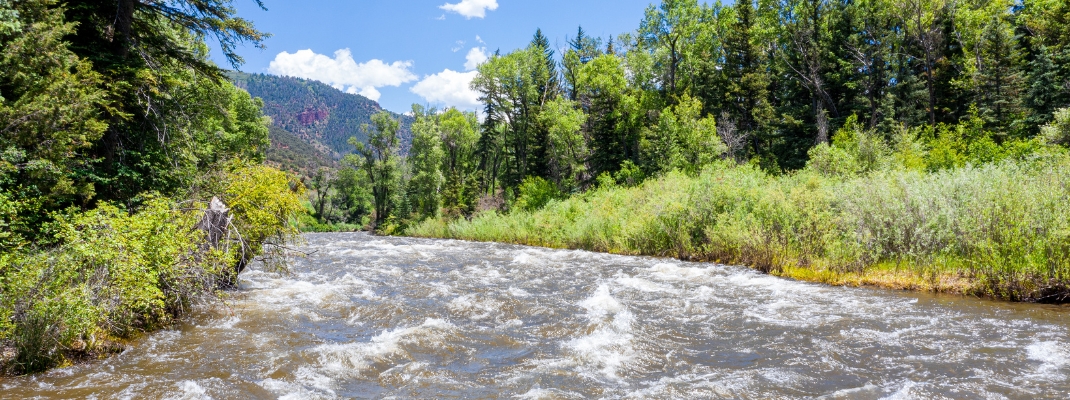 Roaring Fork River near Carbondale 