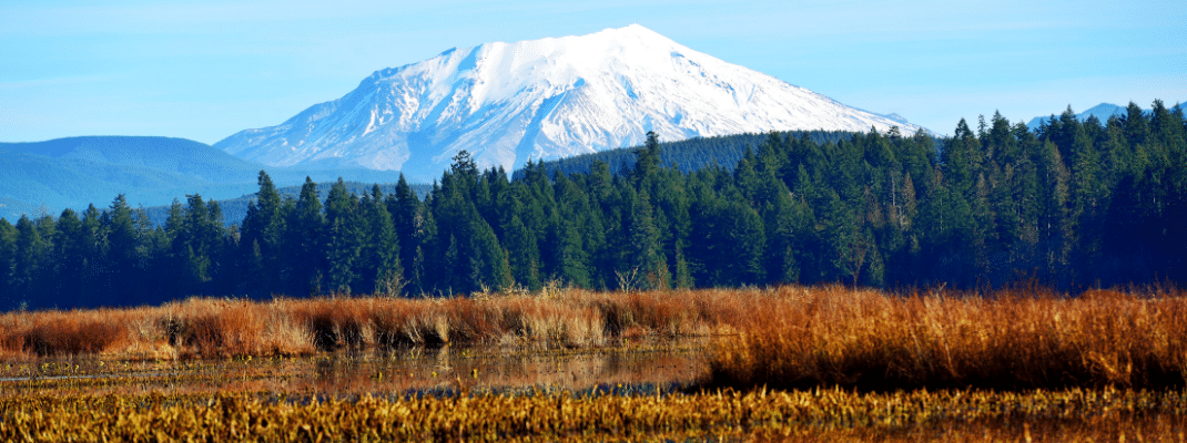 Mt St Helens reflecting in Silver Lake, WA-USA