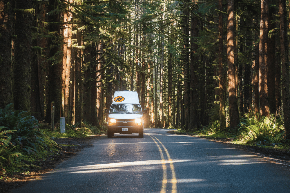 California National Parks Road Trip from Los Angeles