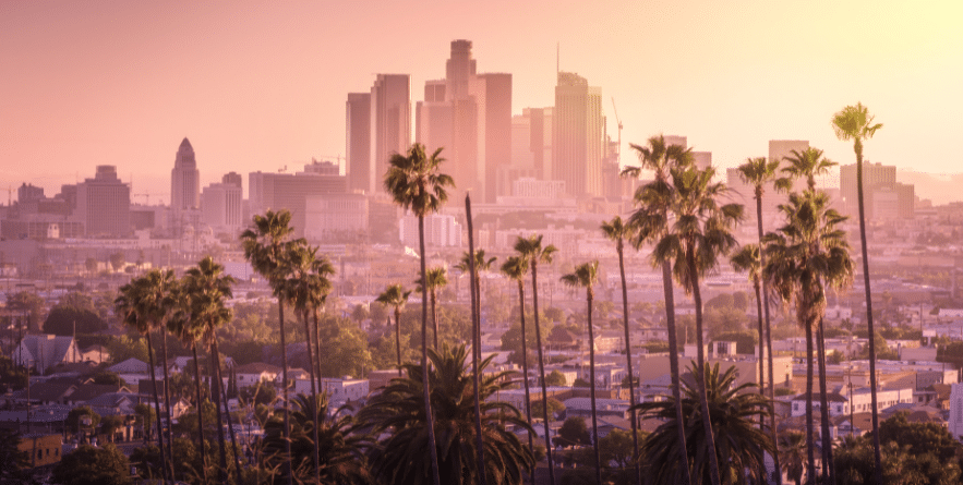 Beautiful sunset of Los Angeles downtown skyline and palm trees in foreground