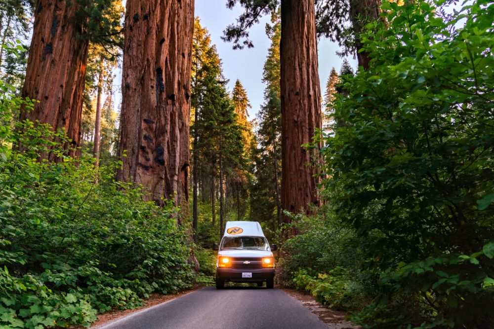 The Gold Diggers: California Gold Rush Adventure with a Campervan