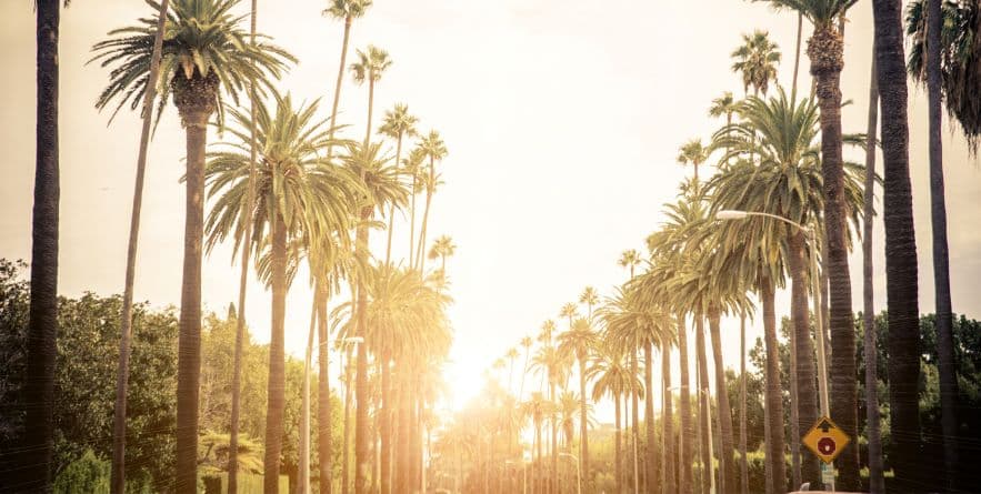 Beverly Hills street with palm trees at sunset, Los Angeles