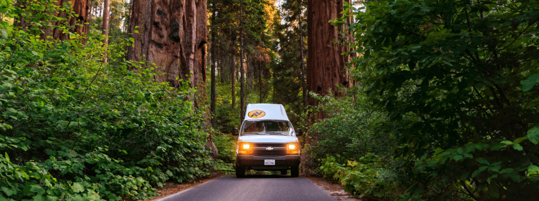 Campervan driving through Redwood National Park, USA