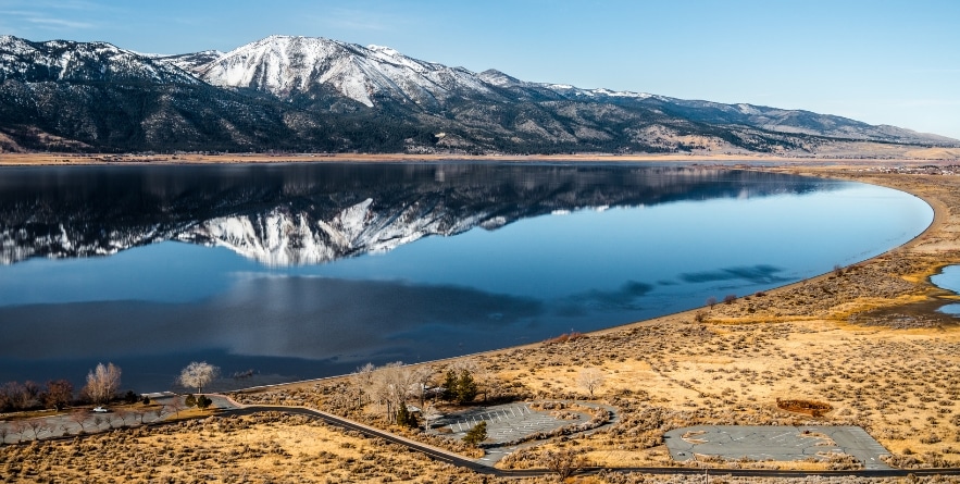 Washoe Lake bear Carson City, Northern Nevada