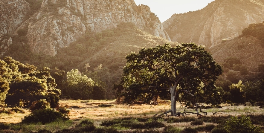 Malibu Creek Park in California is hidden in the Santa Monica Mountains just north of Los Angeles by Pacific Coast Highway. Great for outdoor adventures, hikes, wildlife, and waterfalls. Sunsets.